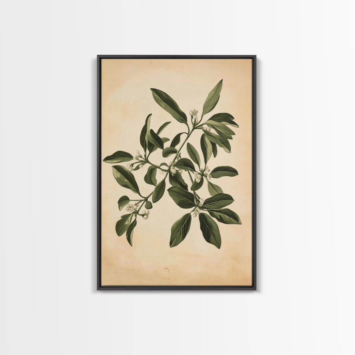 Mistletoe Canvas Print - Framed Canvas - Minimalist Christmas Art - Boho Christmas Art - Rustic Christmas Art