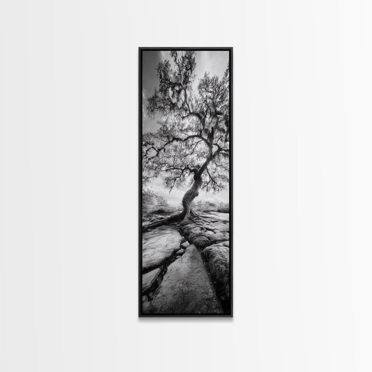Wisdom Oak Tree, Forest Roots, Ancient Energy, Framed Canvas Print, Rustic Living Room Wall Art, Nature Inspired, Boho Woodland Art