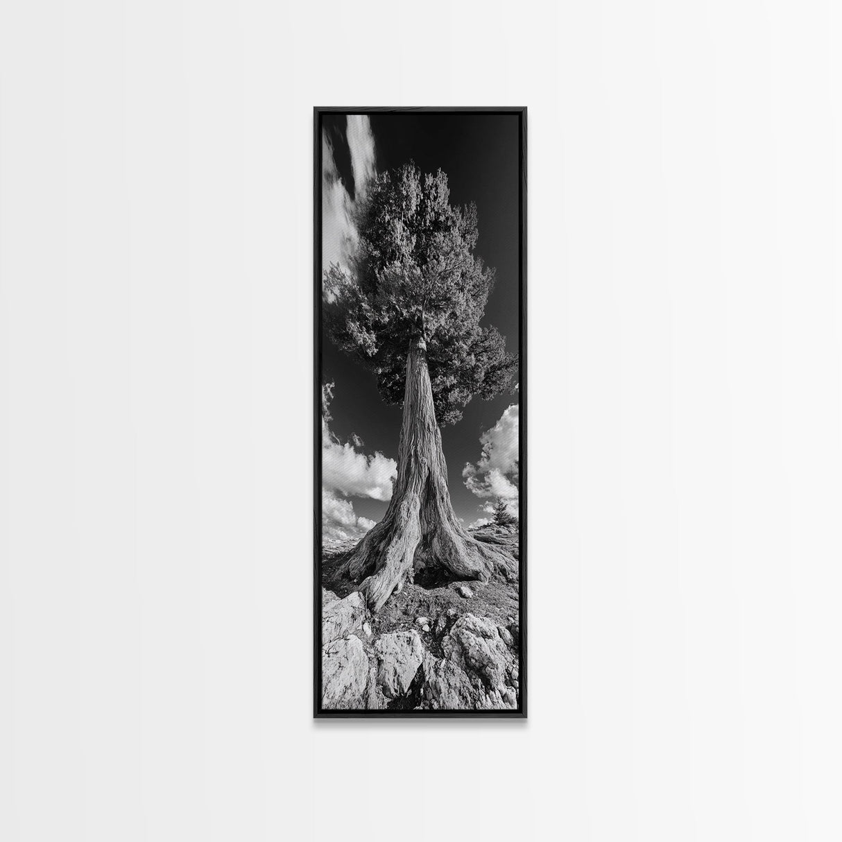 Majestic Tree, Nature Power, Earth Energy, Black White Art, Framed Canvas Print, Modern Rustic Decor, Cabin Wall Art, Tree Lover Gift