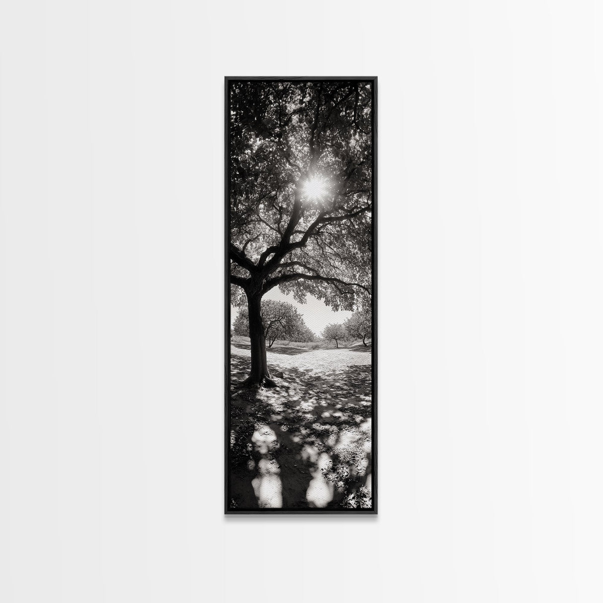 Sunlight Tree, Autumn Glow, Nature Shadowplay, Black White Forest Scene, Canvas Print, Fall Living Room Art, Boho Earthy Wall Decor