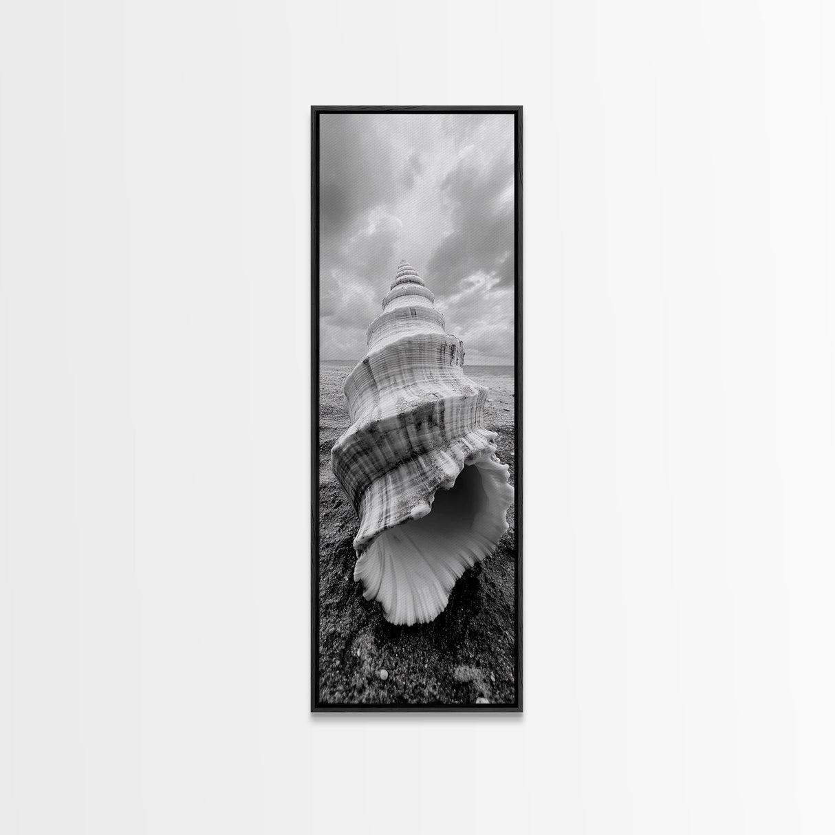Shell Closeup, Ocean Texture, Natural Spiral, Minimalist Shell, Seashell Photography Framed Canvas Print, Coastal Kitchen Wall Art