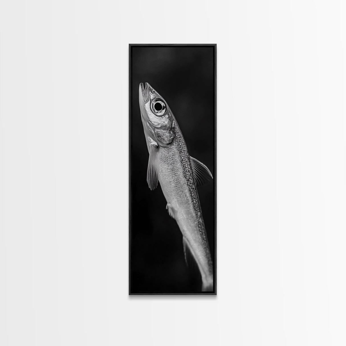 Silver Fish, Minimal Animal, Ocean Catch, Framed Canvas Print, Kitchen Wall Art, Nature Inspired Decor, Monochrome Sea Life