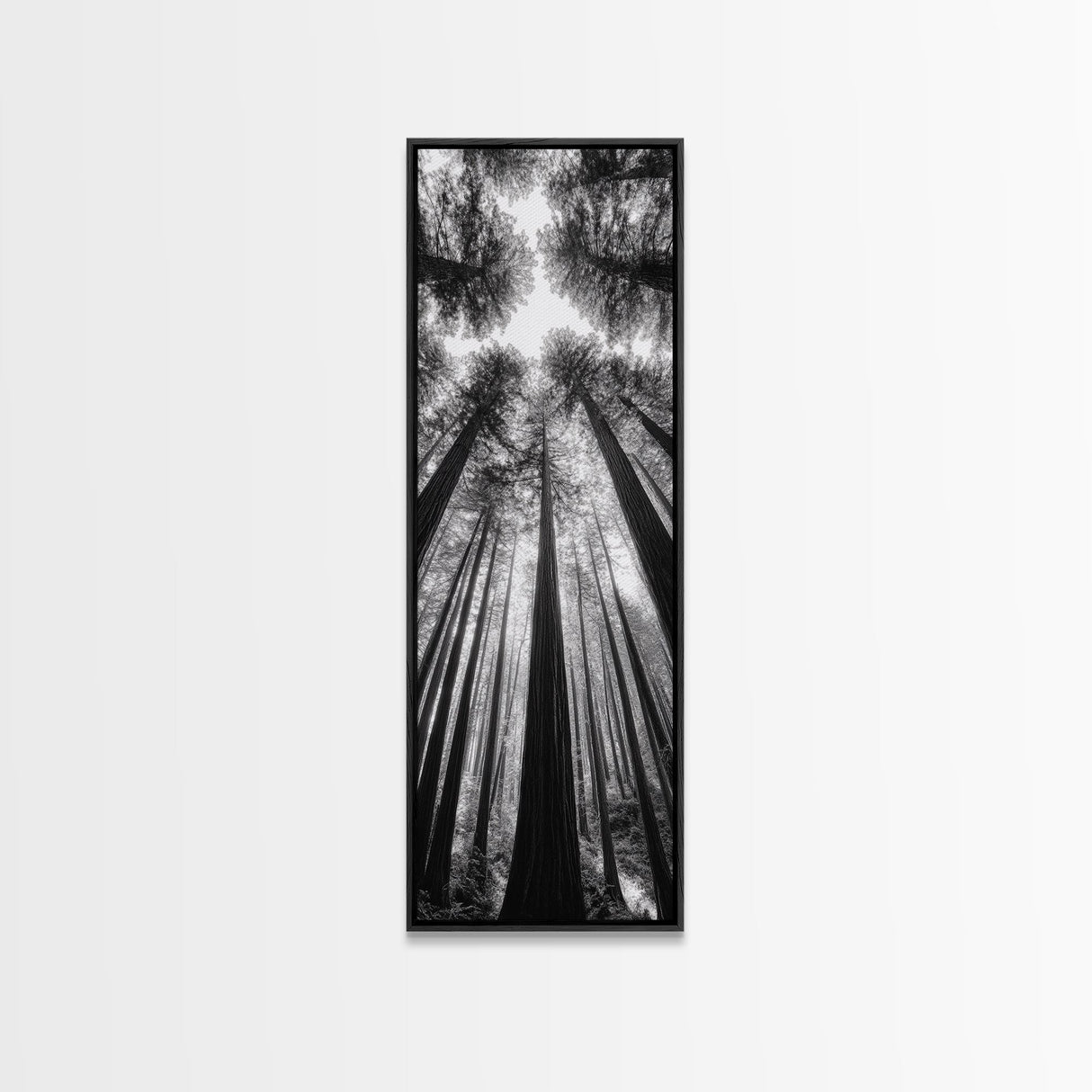 Redwood Forest, Sunlight Trees, Nature Canopy, Canvas Print, Serene Woodland Art, Cabin Wall Decor, Black and White Forest Art, Bedroom Wall Art