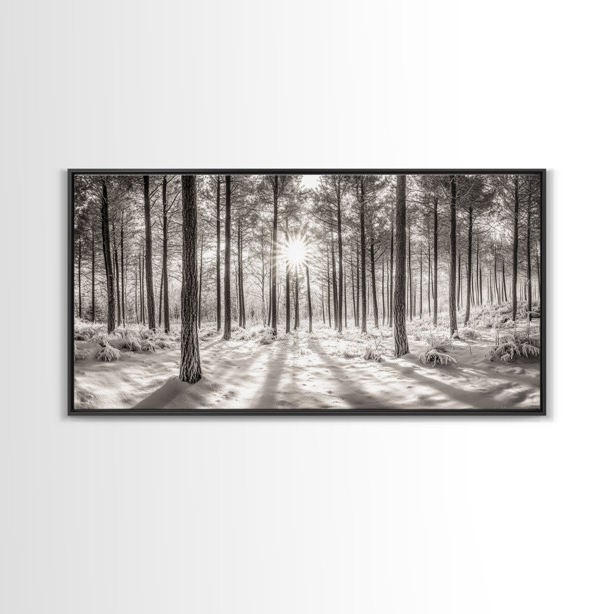Winter Pine Forest, Sunlight Snow Trees, Nature Landscape Photography, Framed Canvas Print, Cabin Decor, Minimalist Wall Art