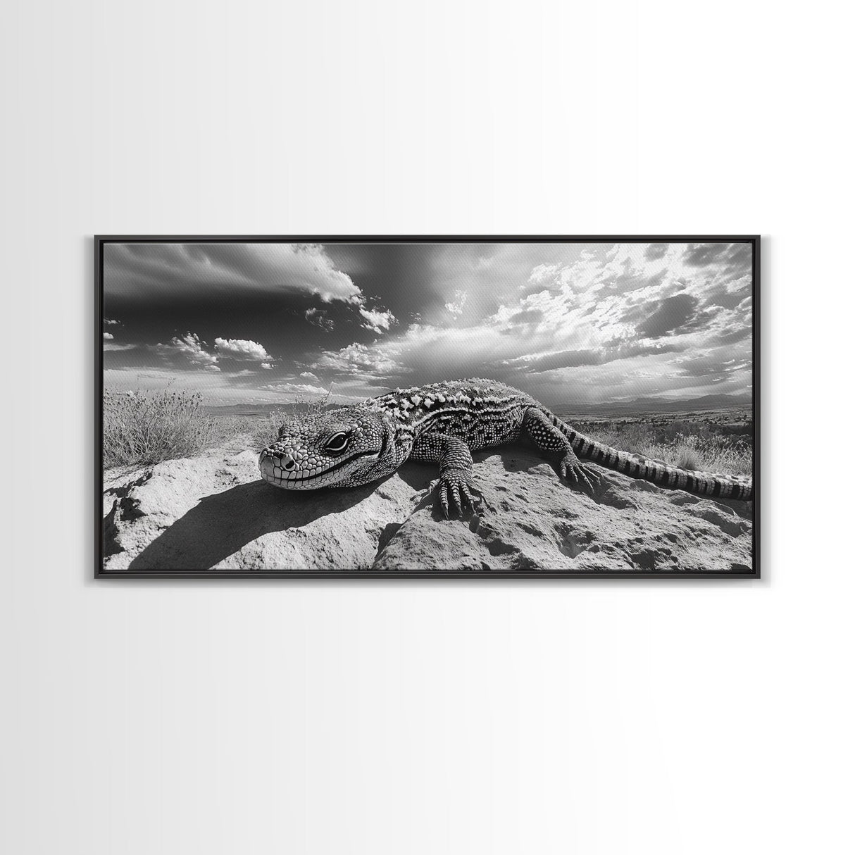 Desert Lizard Close-Up, Reptile Wildlife Photography, Dramatic Sky Scene, Canvas Print, Living Room Wall Art, Nature Decor