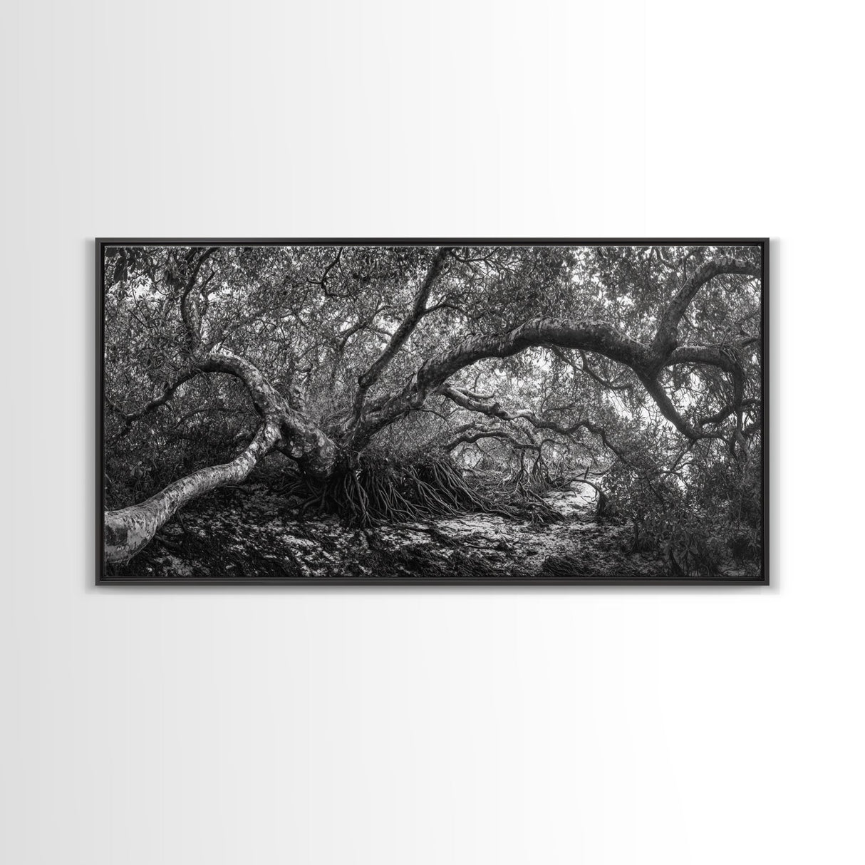 Mangrove Roots, Twisted Forest, Wild Nature, Moody Jungle, Framed Canvas Print, Rustic Living Room Art, Woodland Decor, Boho Vibes