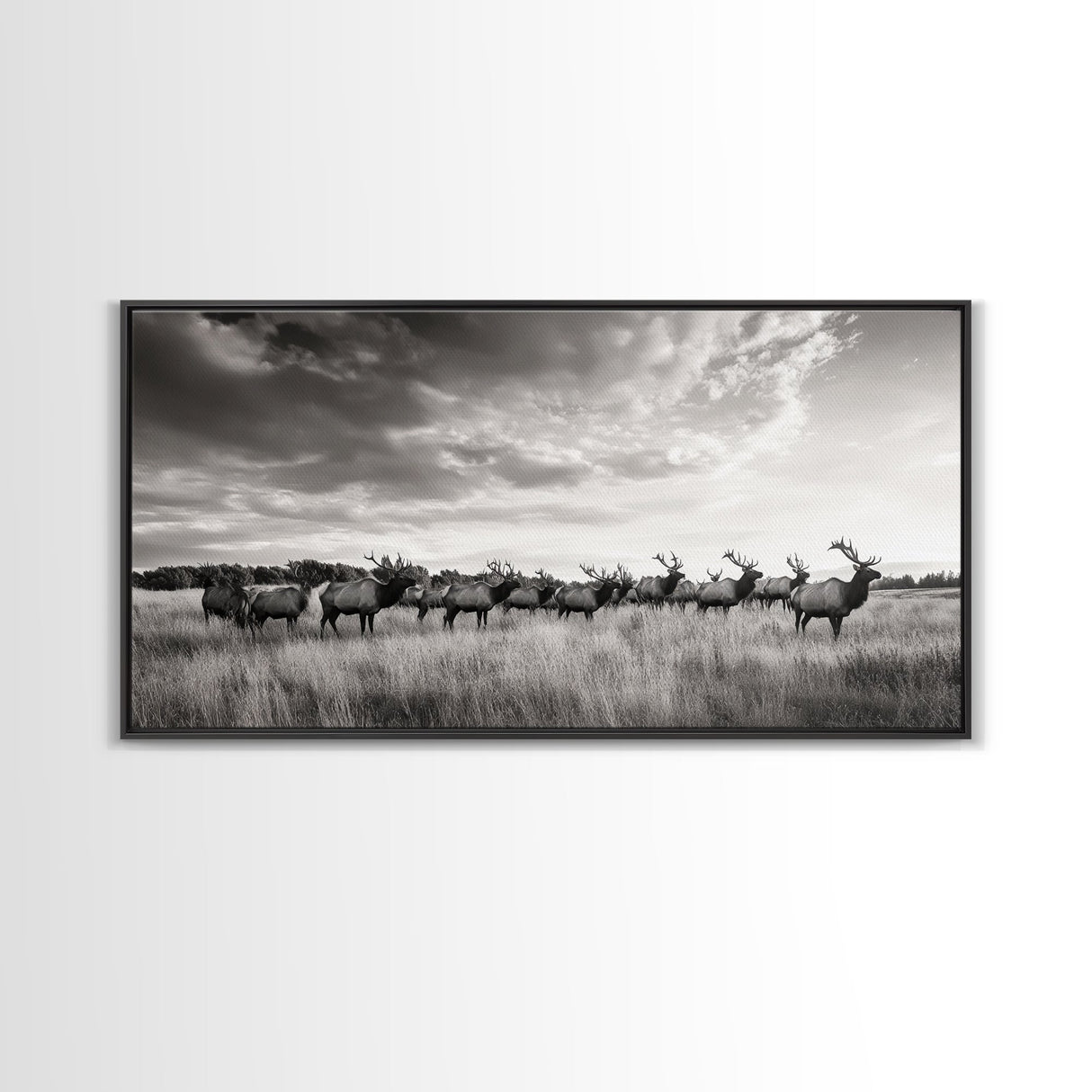 Elk Herd, Prairie Wildlife, Autumn Nature, Rustic Landscape, Framed Canvas Print, Western Wall Decor, Cabin Art, Living Room Print