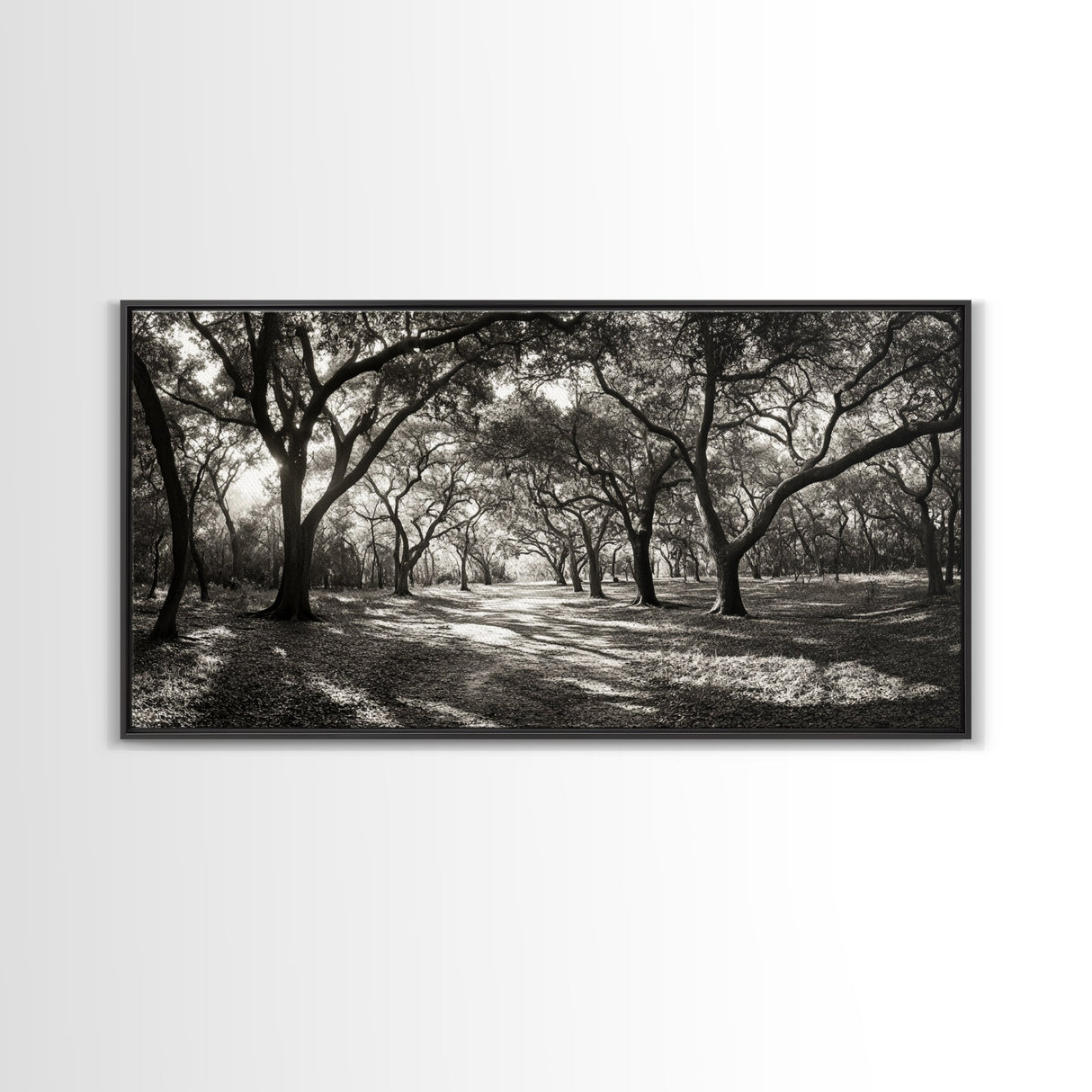 Oak Tree Path, Autumn Forest Glow, Nature Trail Photography, Framed Canvas Print, Hallway Wall Art, Earthy Decor, Woodland Art