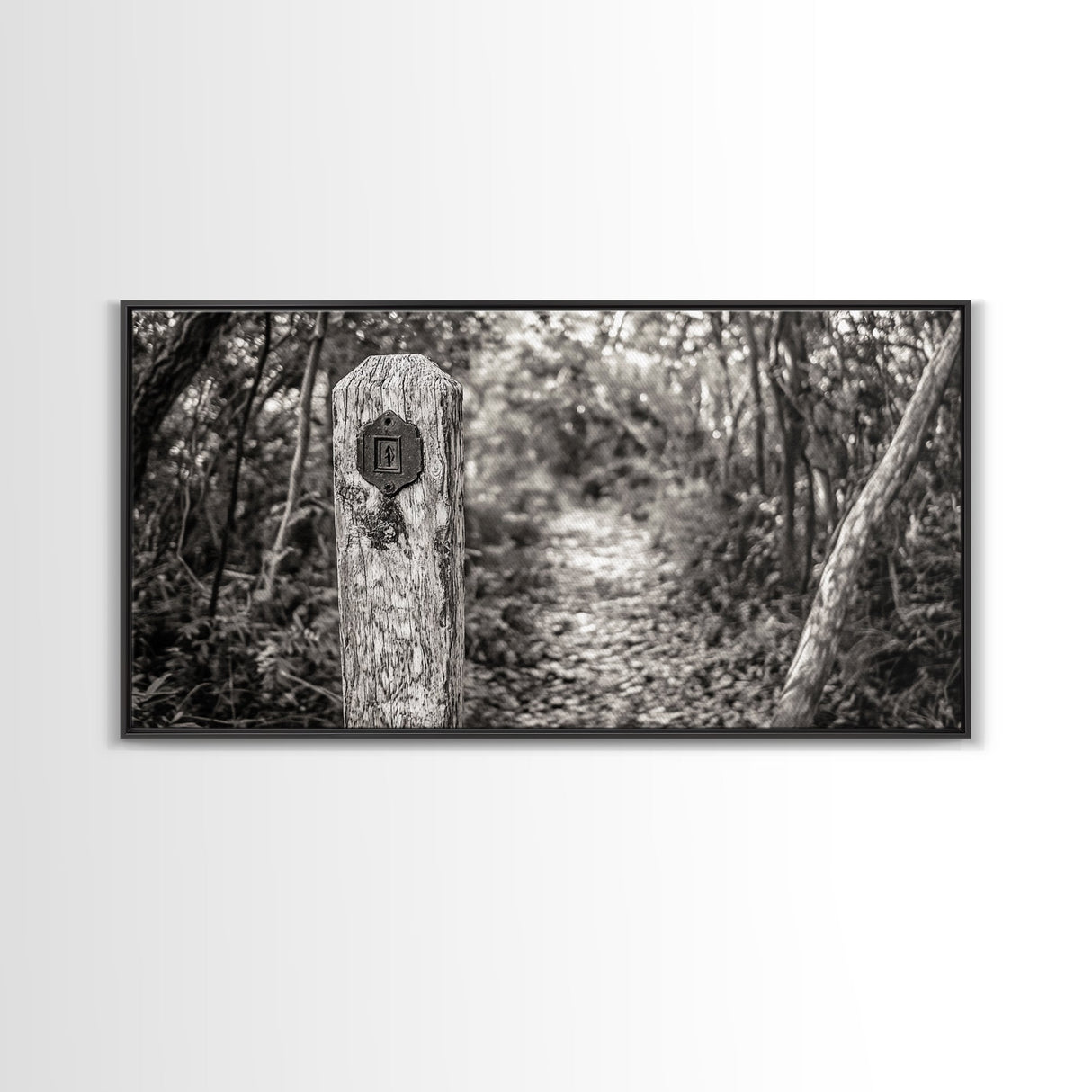 Trail Marker, Wooded Path, Rustic Forest, Natural Journey, Framed Canvas Print, farmhouse decor, nature lover gift, Autumn entryway art