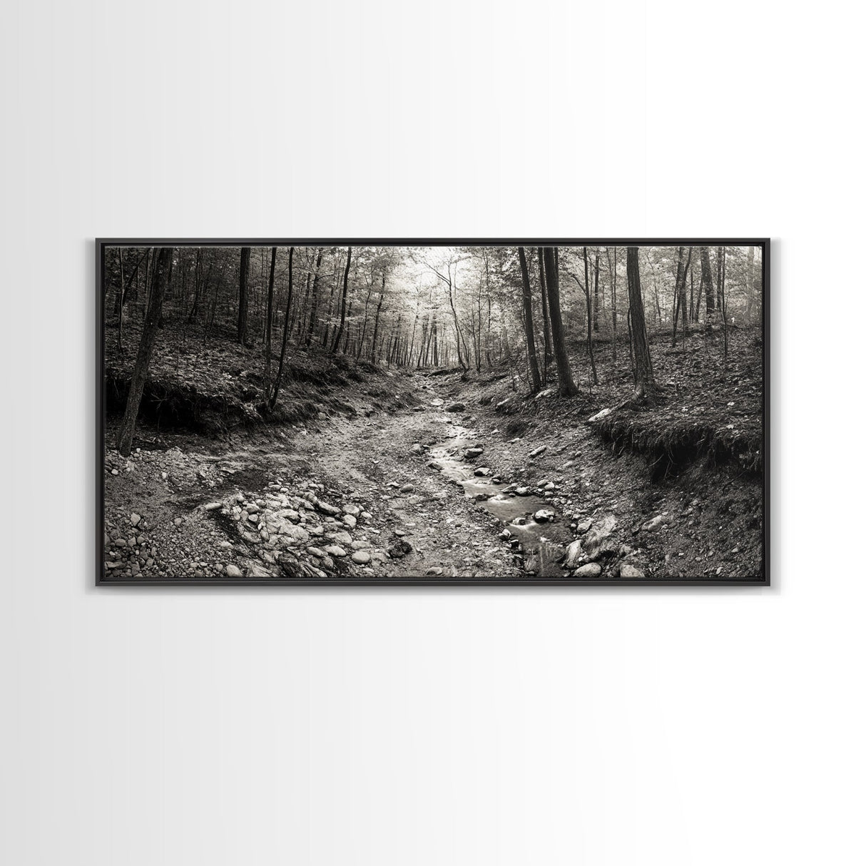Forest Stream, Tranquil Woodland Path, Autumn Nature Photography, Framed Canvas Print, Rustic Cabin Decor, Living Room Wall Art