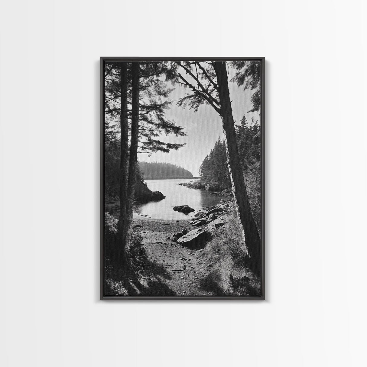 Woodland Cove Path, Tranquil Forest Scene, Nature Escape Art, Canvas Print, Cabin Wall Art, Coastal Boho Decor, Black White Landscape