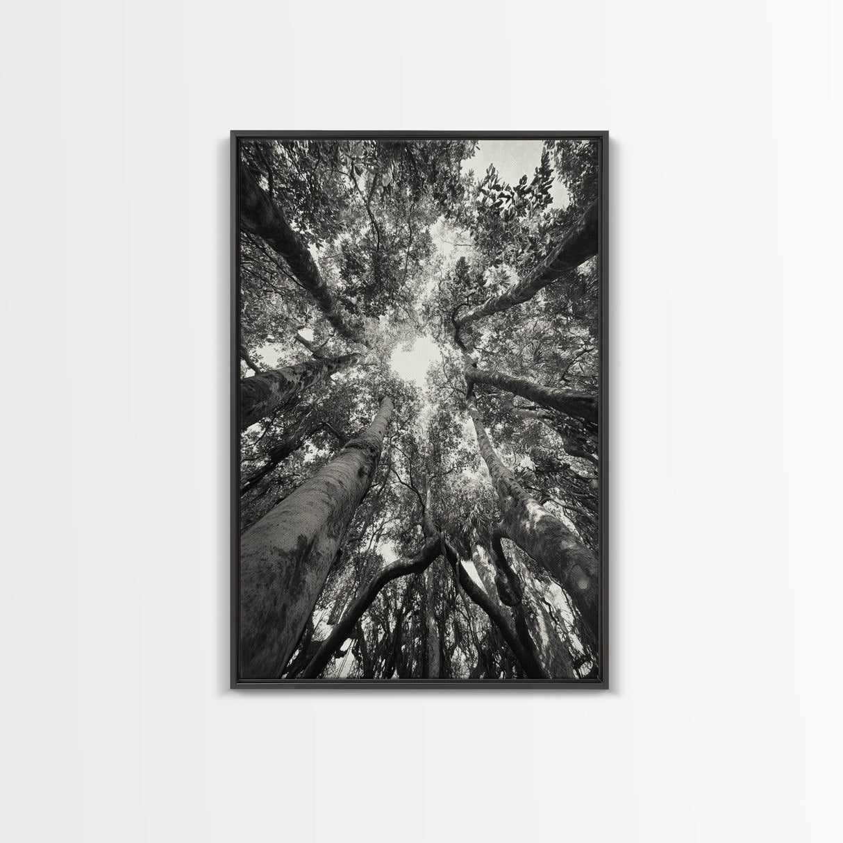 Tree Canopy, Forest Light, Upward View, Canvas Print, Woodland Wall Art, Living Room Decor, Nature Perspective Photography