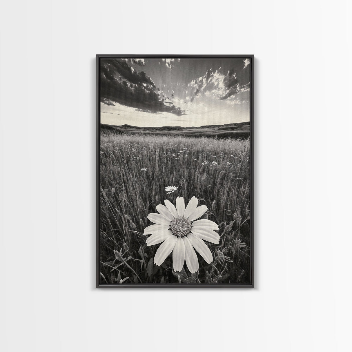 Wildflower Field, Daisy Bloom, Summer Meadow, Framed Canvas Print, Boho Botanical Wall Art, Bedroom Decor, Earthy Nature Photography