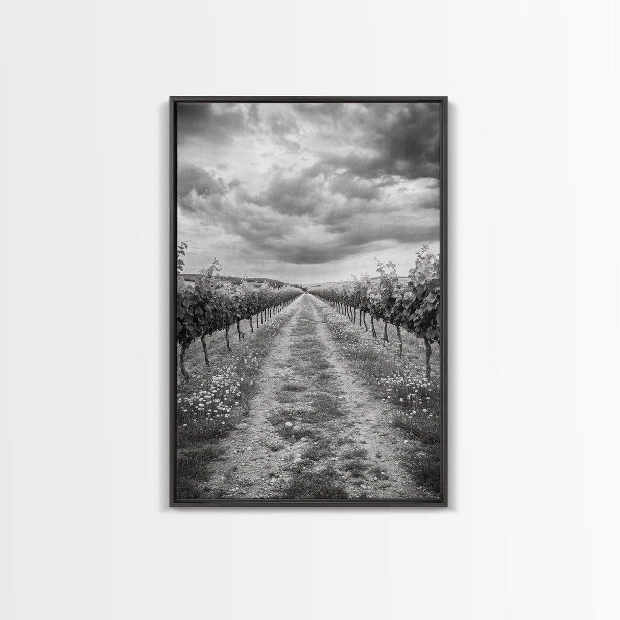 Vineyard Rows, Cloudy Skies, Countryside Path, Canvas Print, Farmhouse Wall Art, Kitchen or Dining Decor, Rustic Landscape Photo