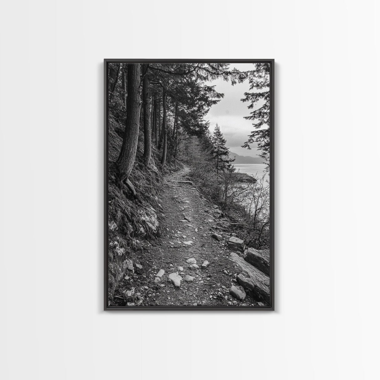 Forest Pathway Trail, Wilderness Escape, Rustic Nature, Black and White Framed Canvas Print, Cozy Cabin or Entryway Wall Art