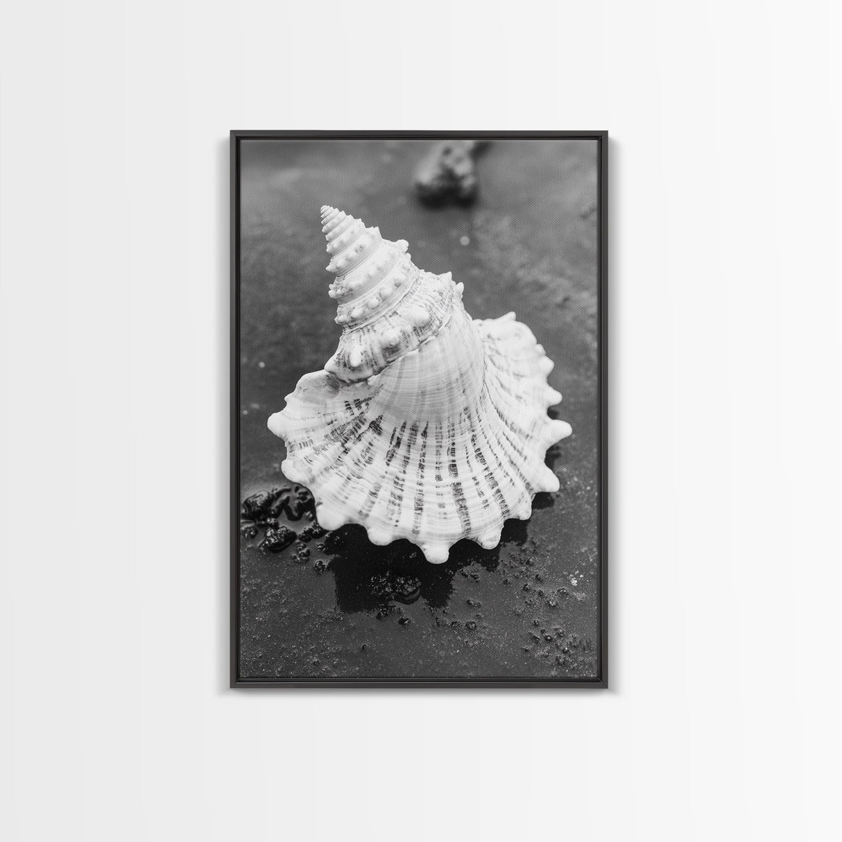 Spiral Shell, Beach Texture, Nature Closeup, Sea Whisper Framed Canvas Print, minimalist beach wall art, boho coastal kitchen decor