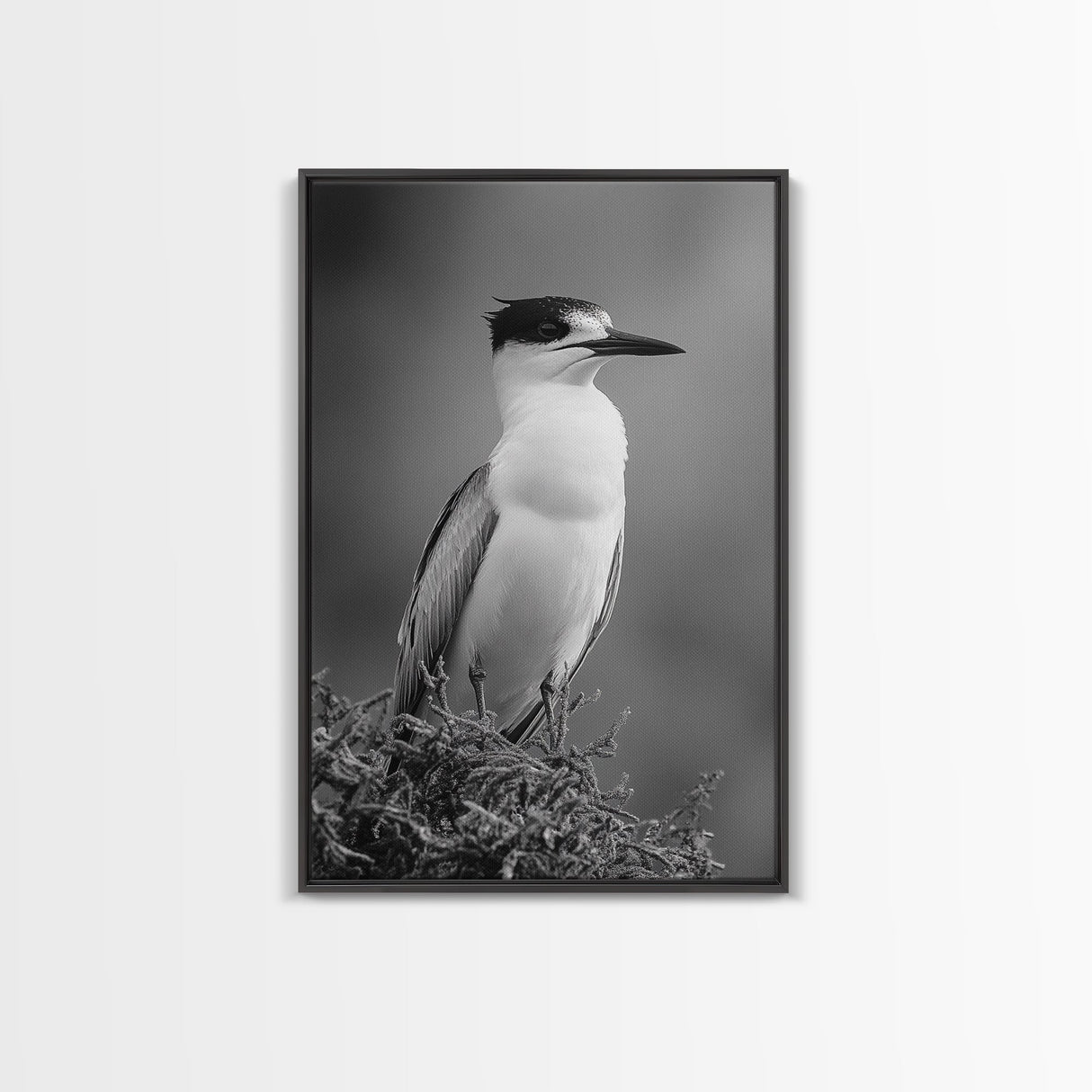 Coastal Bird Portrait, Black White Art, Nature Print, Minimalist Style, Living Room Wall Decor, Framed Canvas Print, Beach House Art