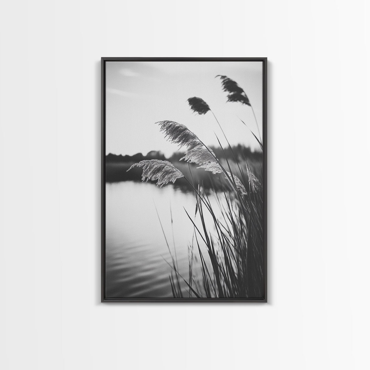 Reed Grass, Gentle Breeze, Black and White Nature, Canvas Print, Minimalist Wall Art, Tranquil Lake Scene, Bedroom Decor