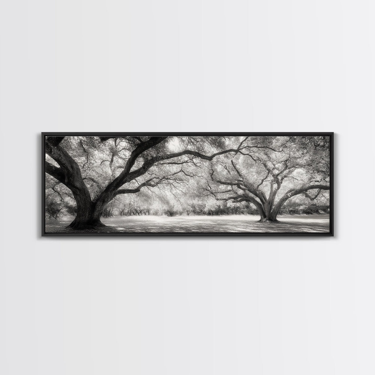 Sprawling Trees, Oak Forest, Sunlit Canopy, Majestic Branches, Canvas Print, Nature Wall Art, Boho Decor, Living Room Statement Piece
