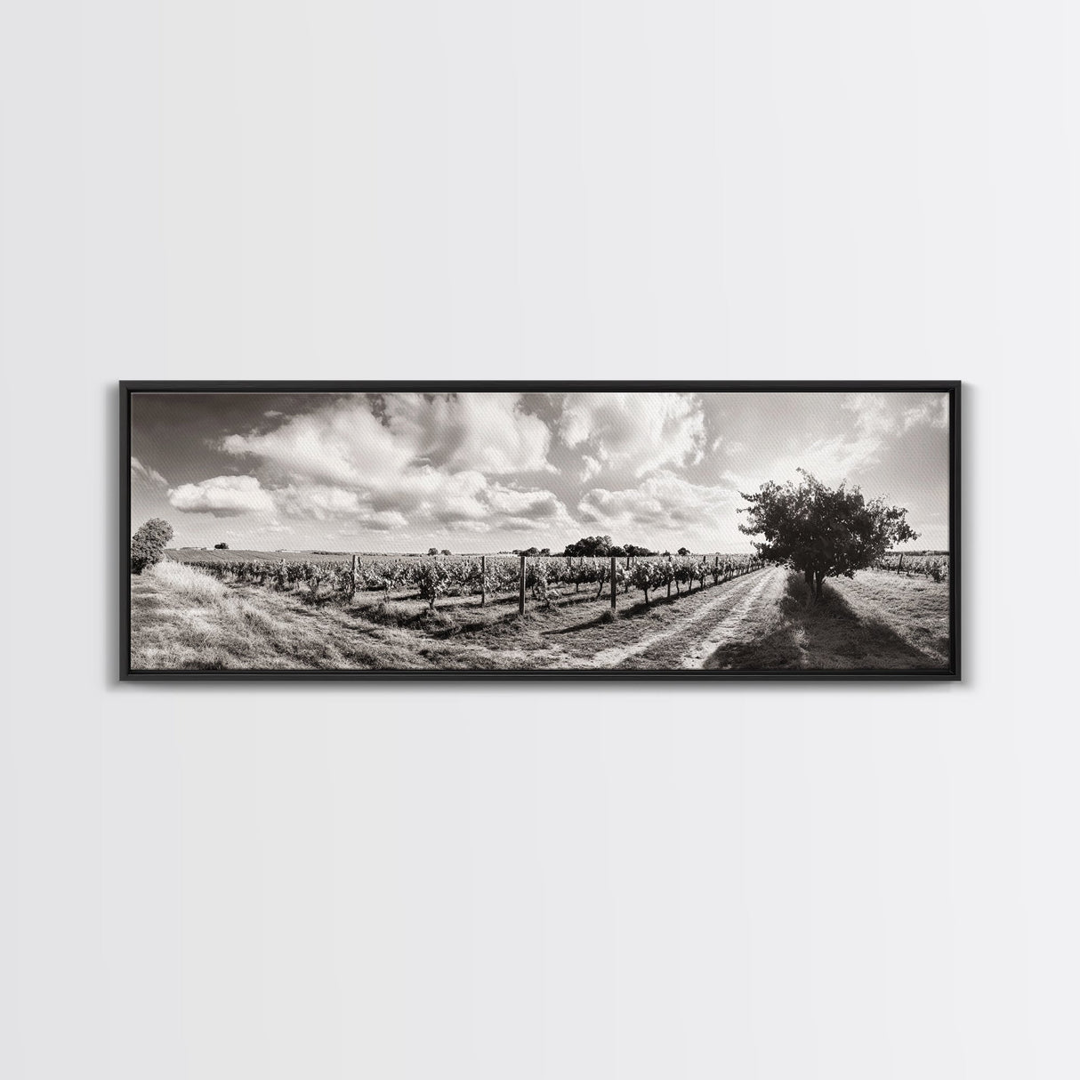 Vineyard Rows, Sunny Fields, Cloudy Sky, Canvas Print, Rustic Country Decor, Dining Room Wall Art, Wine Country Landscape, Farmhouse Style