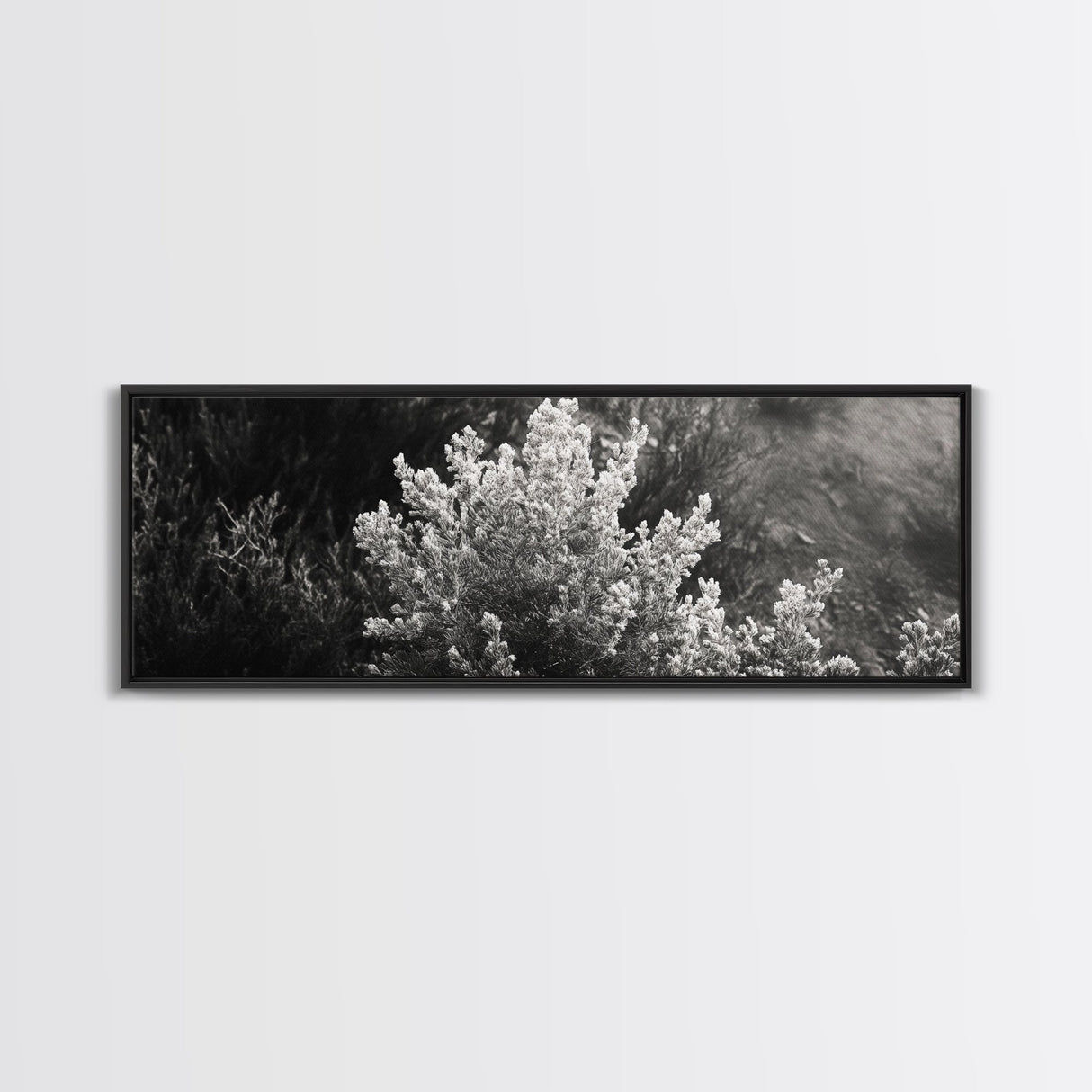 Frosted Bush, Winter Plant, Nature Closeup, Framed Canvas Print, Botanical Wall Art, Neutral Bedroom Decor, Rustic Autumn Style