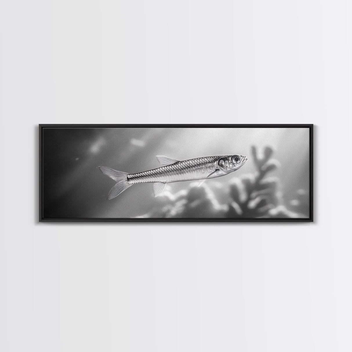 Silver Fish Closeup, Underwater Life, Marine Wildlife Art, Black and White Framed Canvas Print, Coastal Bathroom or Den Wall Art