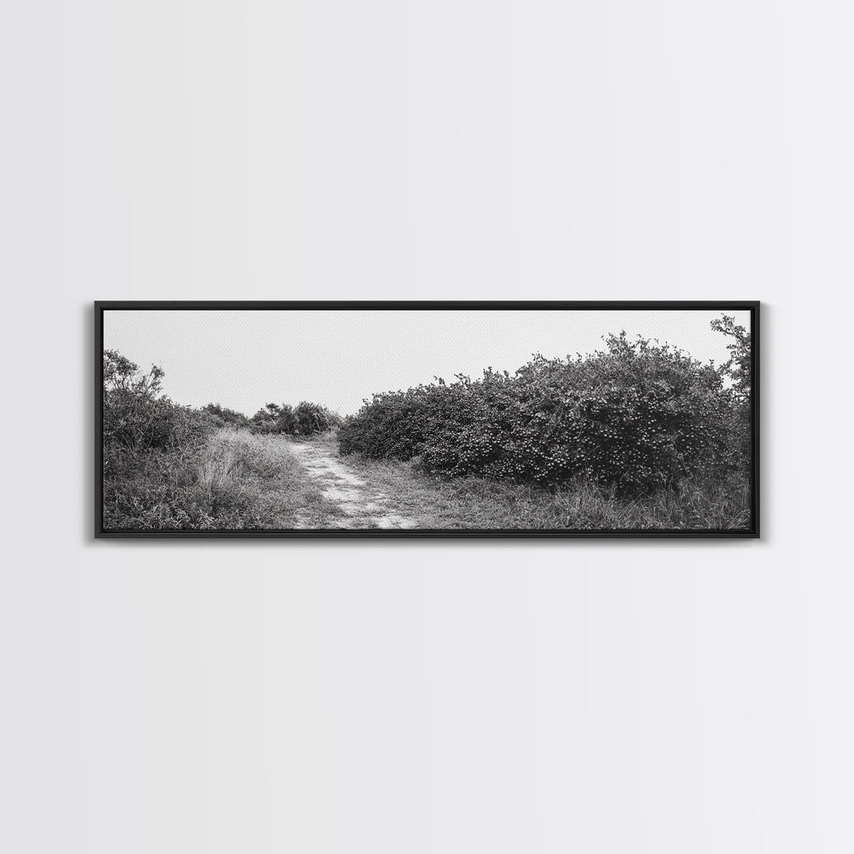 Wild Apple Path, Nature Overgrowth, Autumn Orchard Trail, Canvas Print, Fall Farmhouse Kitchen Art, Rustic Seasonal Wall Decor