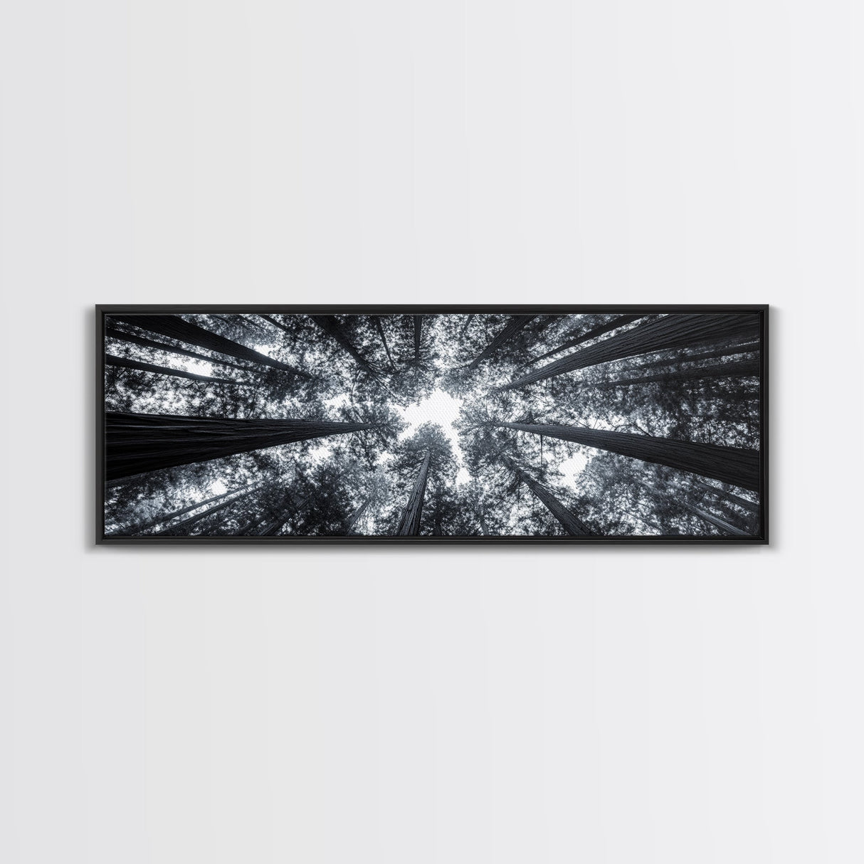 Redwood Trees, Forest Canopy, Looking Upward, Canvas Print, Black and White Nature Art, Meditation Room Decor, Minimalist Wall Art