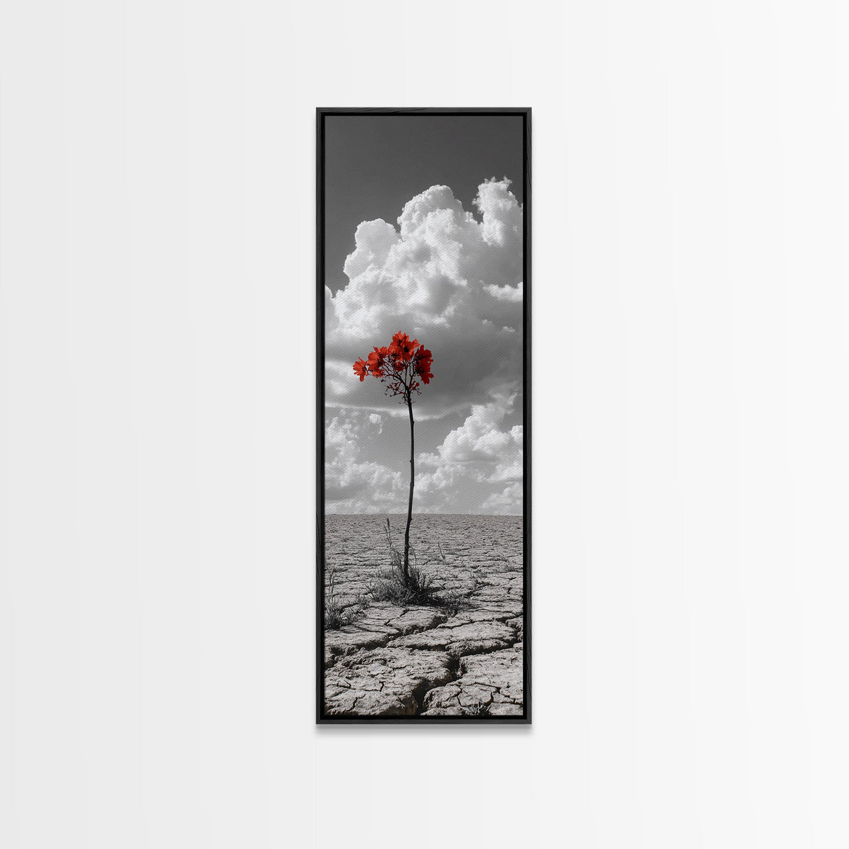 Red Bloom, Desert Flower, Solitary Beauty, Bold Nature, Framed Canvas Print, Dramatic Wall Art, Modern Bedroom Decor, Minimalist Botanical Art