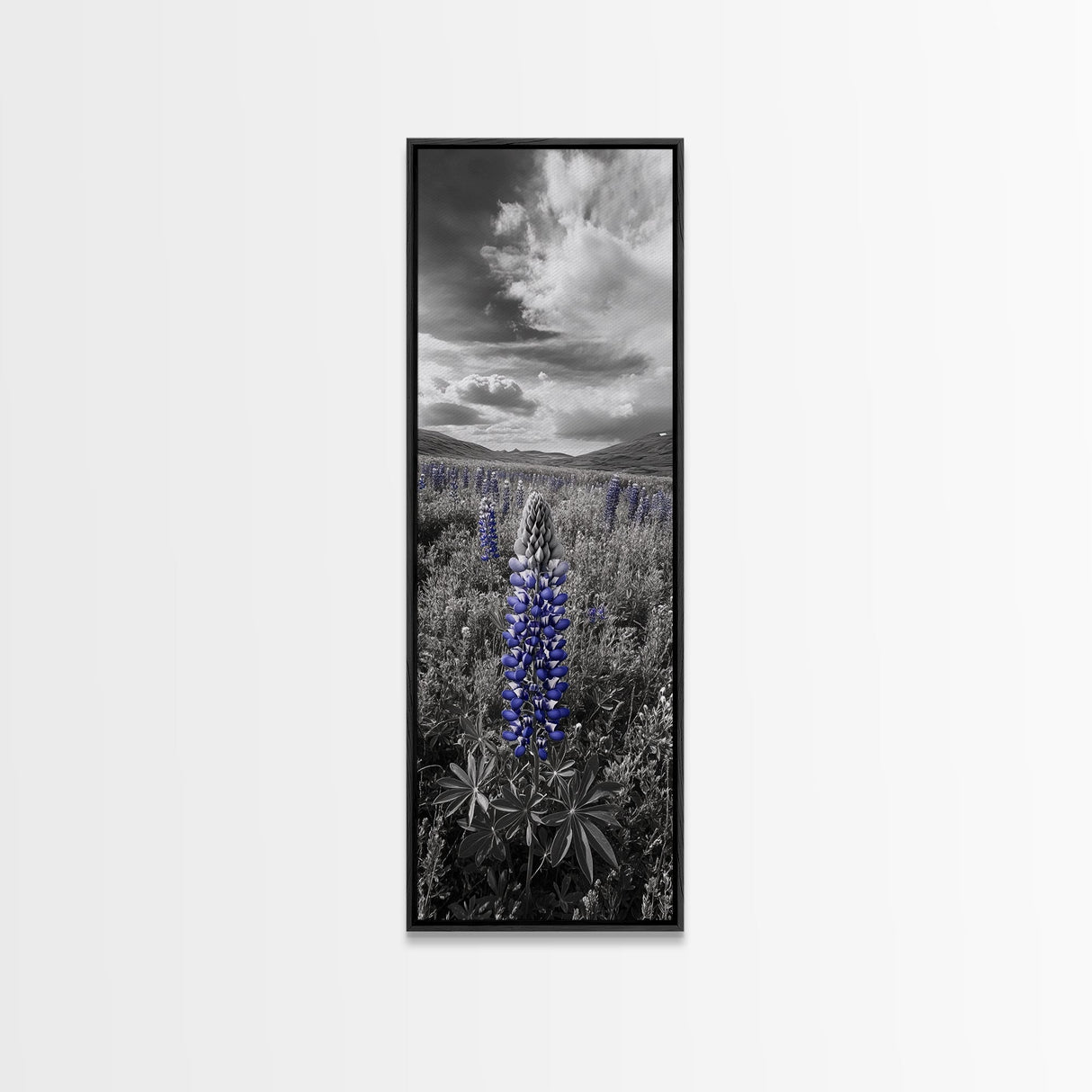 Blue Lupine, Wildflower Meadow, Cloudy Sky, Spring Bloom Framed Canvas Print, floral nature art, botanical hallway wall decor