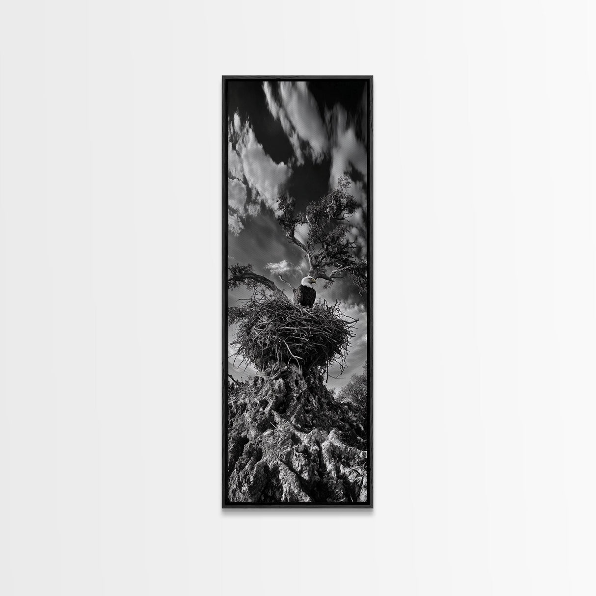 Bald Eagle Nest ,Framed Canvas Print, bird art, moody art, rustic décor, farmhouse art, gift idea, southwest wall art, landscape painting