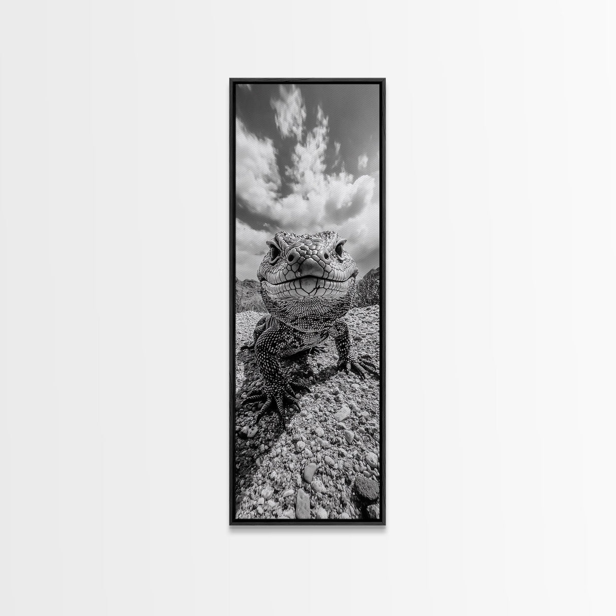 Lizard Close-Up, Framed Canvas Print, wildlife photography, rustic wall art, southwest wall art, desert animal art, black and white home decor