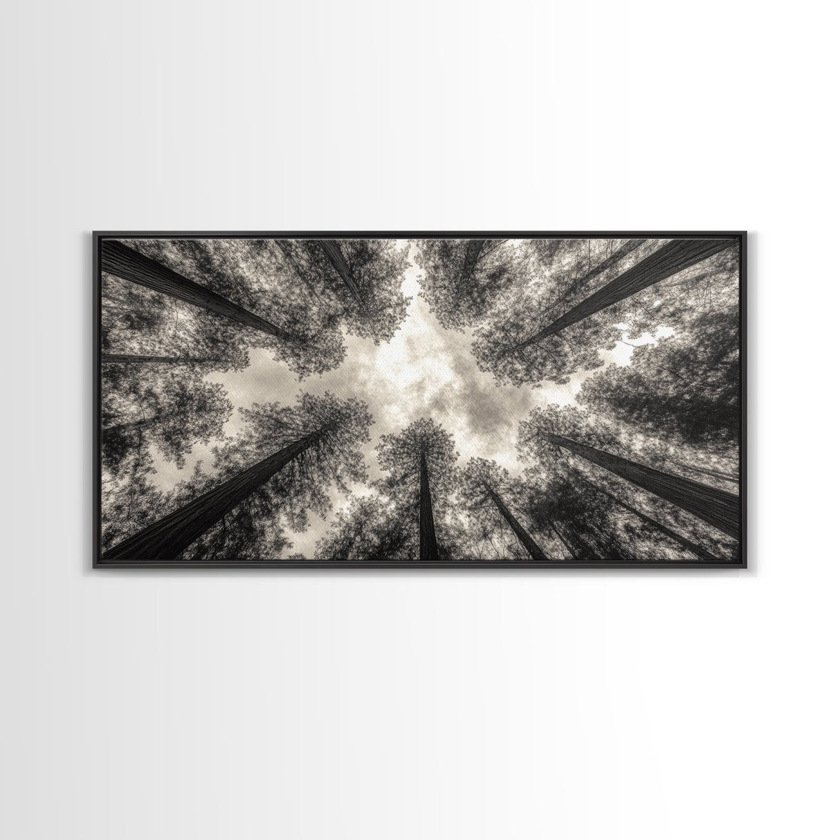 Redwood Trees, Pine Tree Art, Nature Photography, Joshua Tree Art, Extra Wide Art, Forest at Dusk Painting, Canvas Print