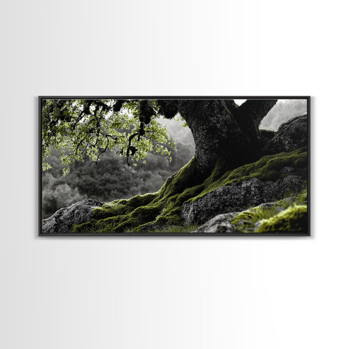 Mossy Oak Tree, oak tree art, nature wall art, rustic art, botanical prints, green wall art, extra wide art, Framed Canvas Print