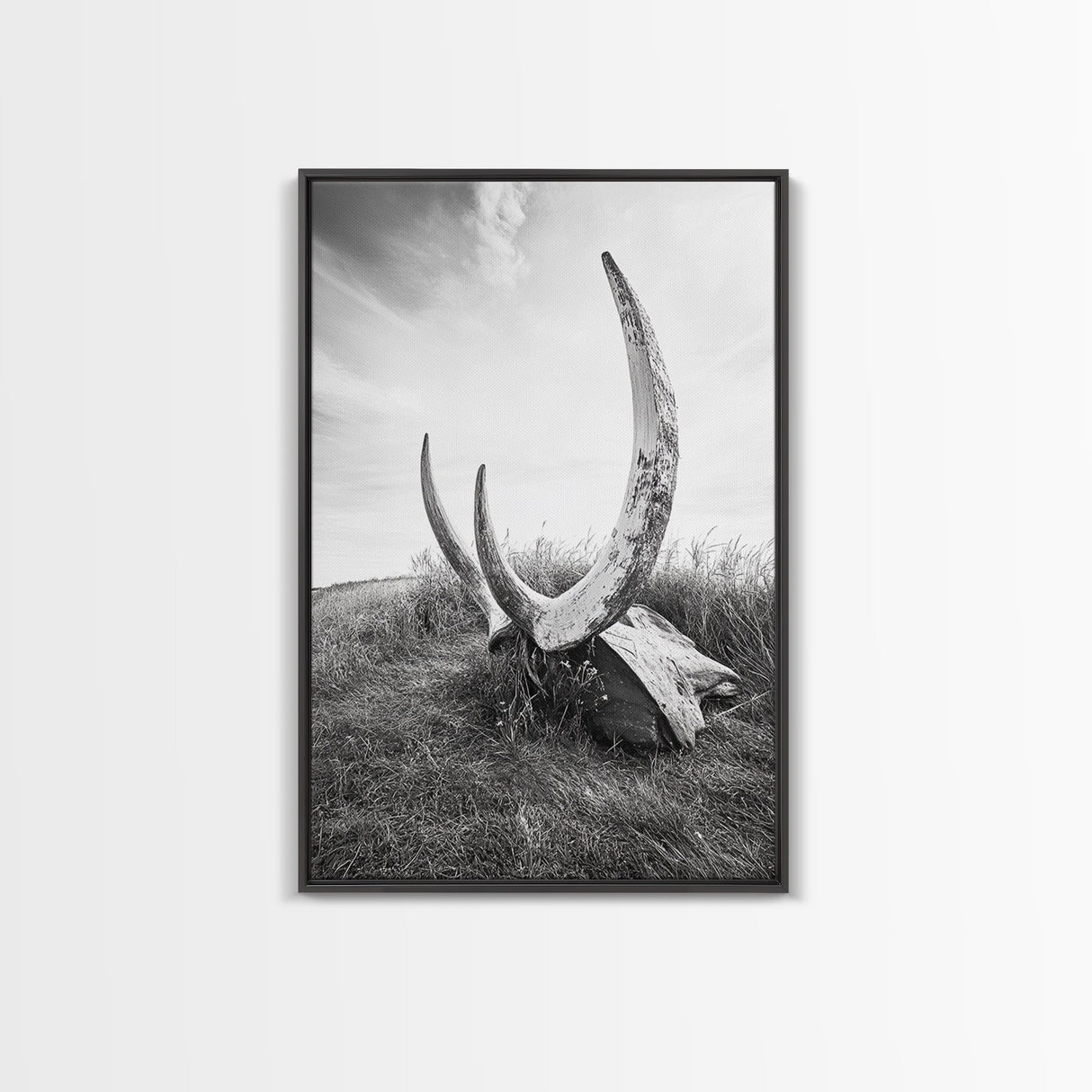 Large horns, rustic skull, bull and bear art, moody wall art, desert decor, cowboy aesthetic, framed canvas print, minimalist art