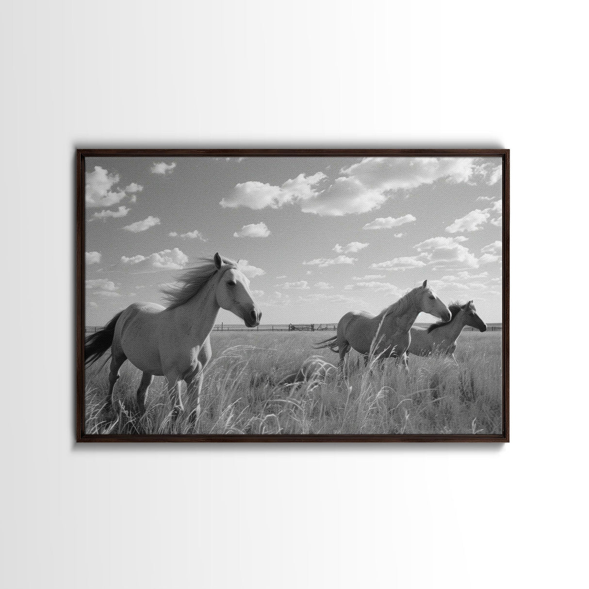 Fine Art Framed Canvas Print, Metal Art, Black & White Photo of Wild Mustangs, Horse Art, American Horses Landscape / Nature / Wildlife Art