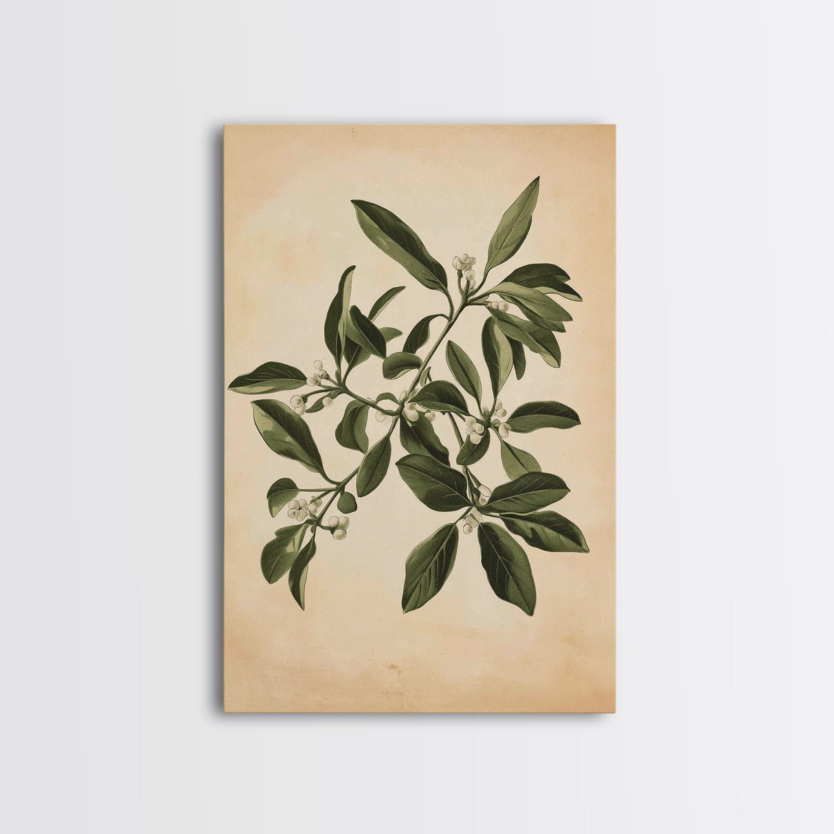 Mistletoe Canvas Print - Framed Canvas - Minimalist Christmas Art - Boho Christmas Art - Rustic Christmas Art