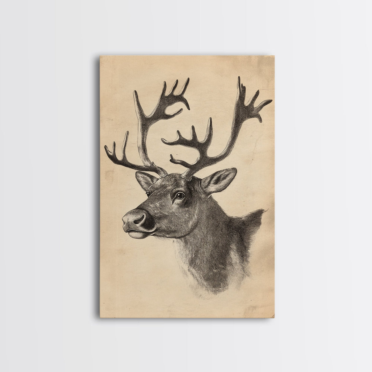 Christmas Reindeer Canvas Print - Framed Canvas - Minimalist Christmas Art - Boho Christmas Art - Rustic Christmas Art