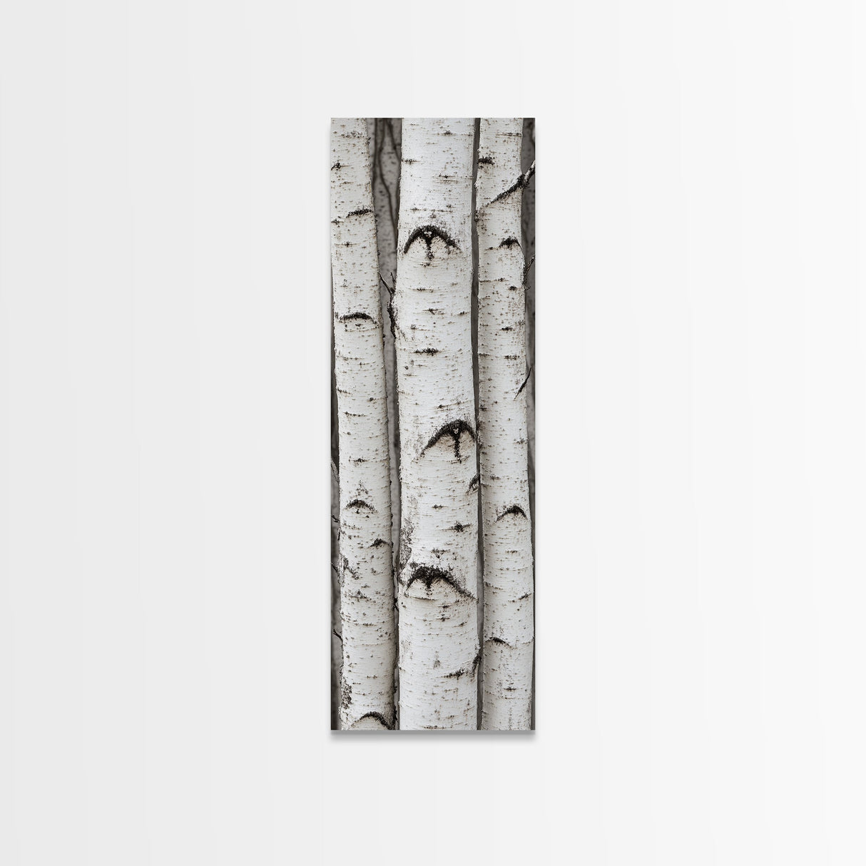Classic Birch Trees Black and White Wall Art Framed Canvas Print Rustic Farmhouse Art Tall Narrow Art Guest Room Decor