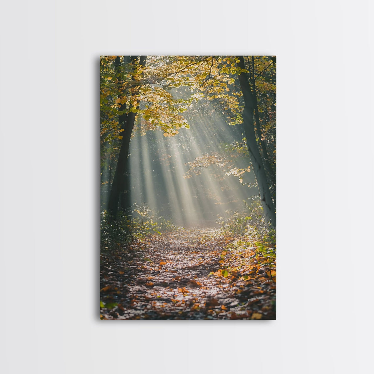 Sunlit Autumn Forest Path Canvas Print, Fall Wall Art, Nature Photography Print, Cozy Home Decor, Rustic Living Room Art, Cabin Wall Art