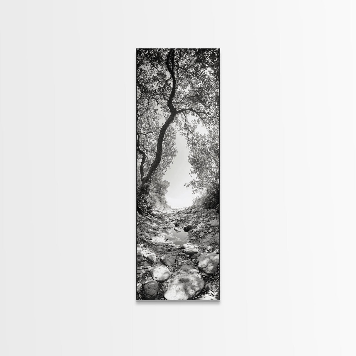 Forest Path, Rock Creek, Canopy Light, Calm Nature Scene, Canvas Print, Entryway Wall Art, Tranquil Minimalist Landscape Print