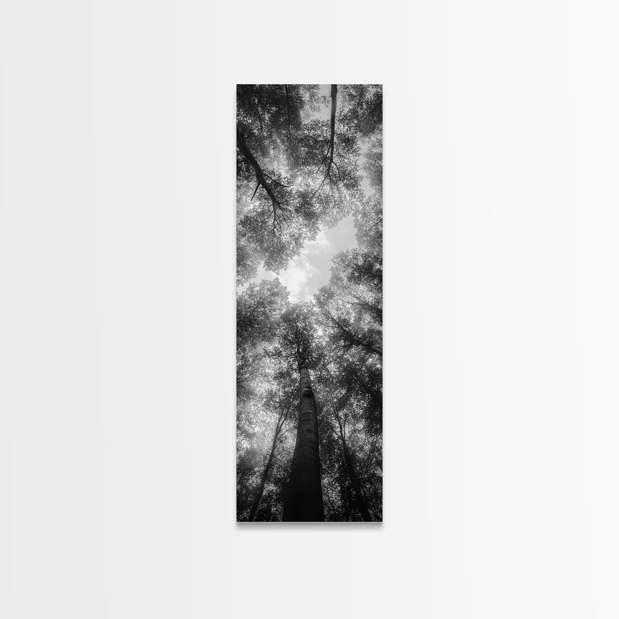 Forest Canopy, Nature Perspective, Tranquil Trees, Black and White, Framed Canvas Print, Cabin Wall Art, Scandinavian Decor, Minimalist Style