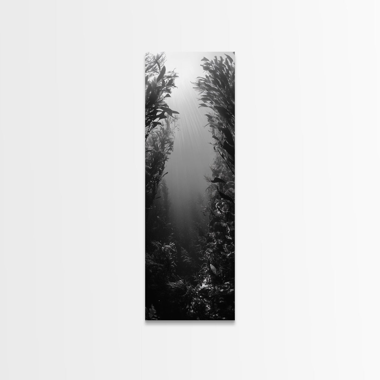 Kelp Forest, Underwater Light, Ocean Depths, Canvas Print, Bathroom Wall Art, Marine Inspired Decor, Nature Photography, Minimalist Style