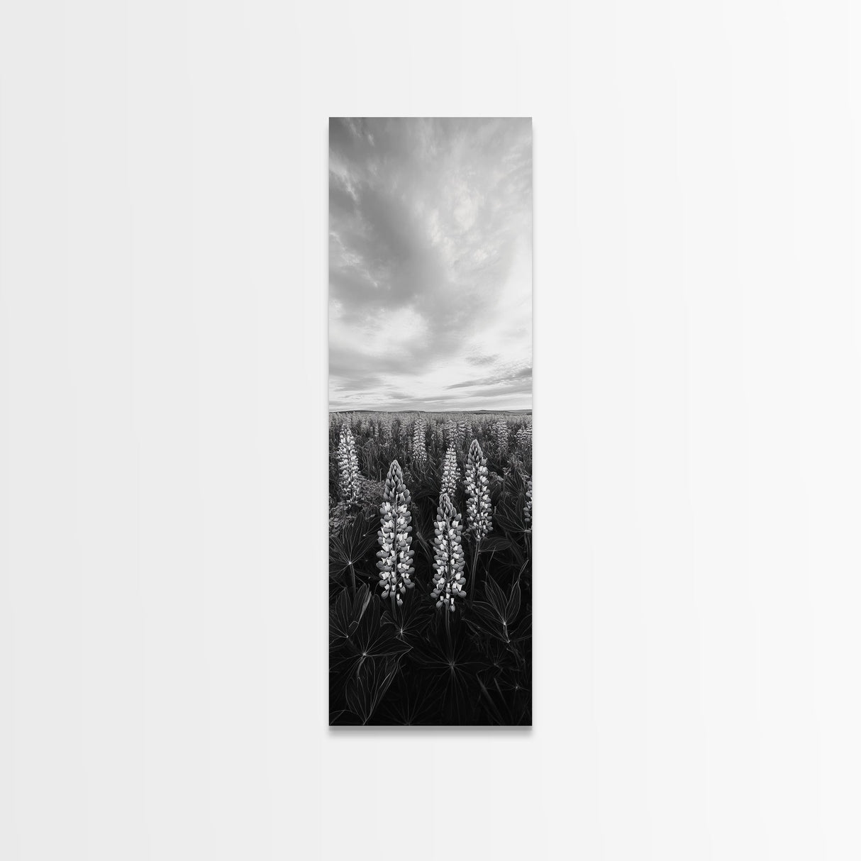 Lupine Field, Blooming Flowers, Meadow Horizon, Framed Canvas Print, Botanical Wall Art, Bedroom Decor, Nature-Inspired, Boho Floral Art
