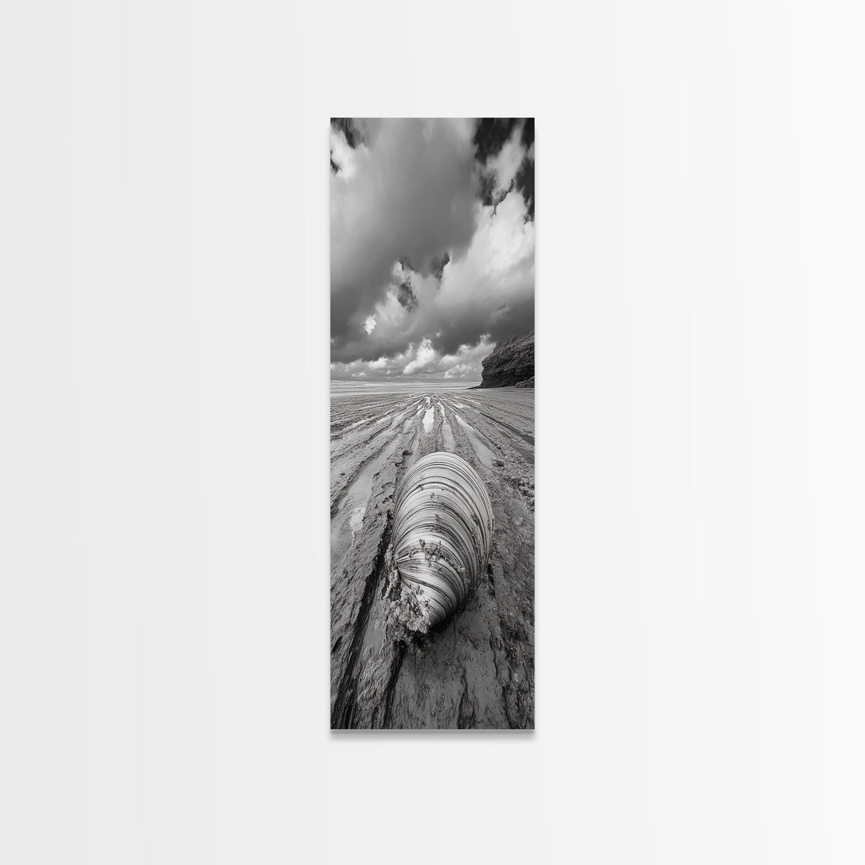 Ocean Clam, Moody Beach, Tidal Lines, Coastal Detail, Canvas Print, Nautical Bathroom Wall Art, Black and White Ocean Decor, Den Wall Piece