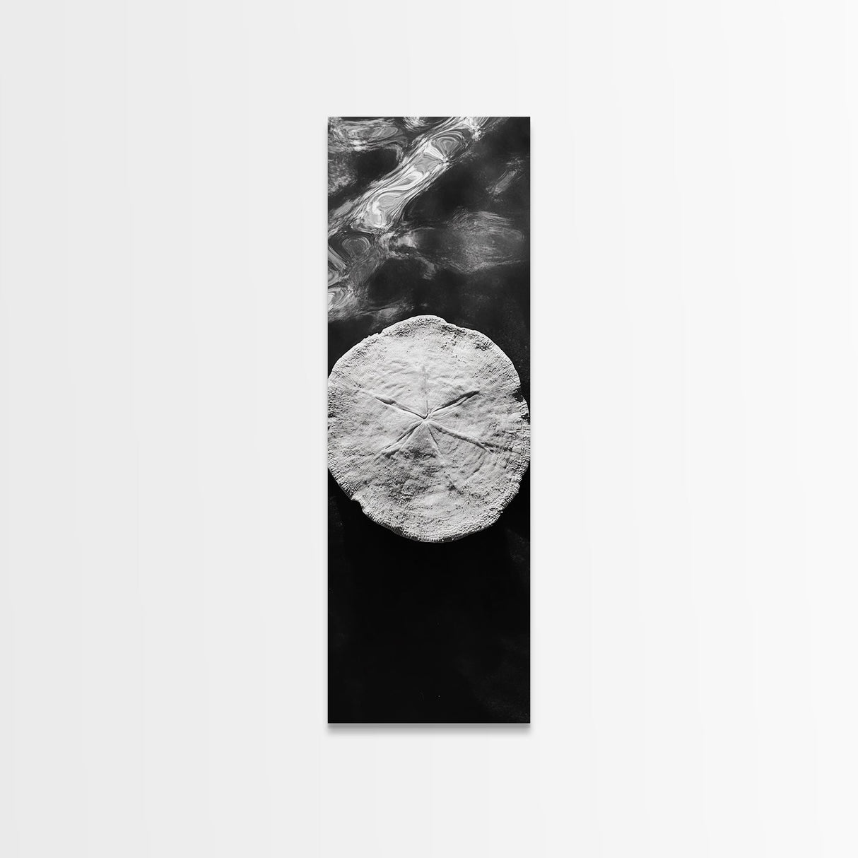 Sand Dollar Print, Minimalist Beach Decor, Sea Shell Wall Art, Coastal Bathroom or Nursery Style, Framed Canvas Print, Ocean Texture