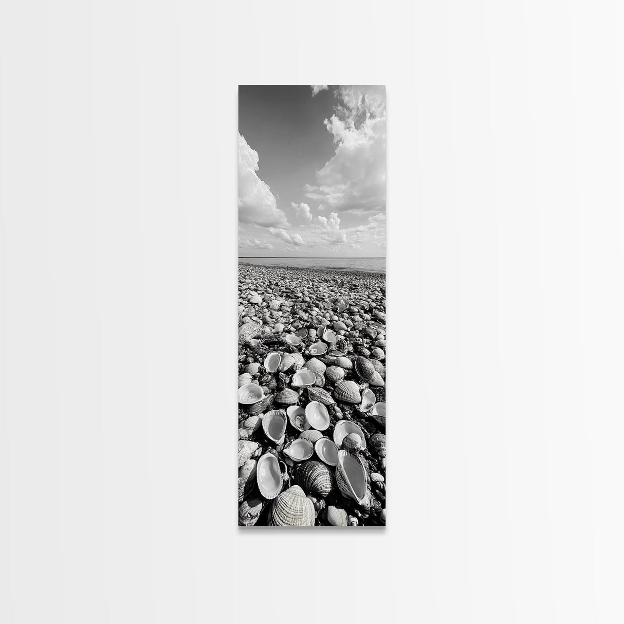 Shell Beach, Coastal Texture, Seashell Ground, Nature’s Bounty, Rustic Ocean Canvas Print, Neutral Kitchen Wall Art, Boho Coastal Style