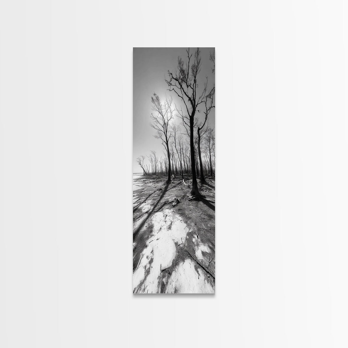 Haunting Tree Silhouettes, Forest Edge, Black White Nature, Desert Trees, Framed Canvas Print, Fall Art, Living Room Wall Art