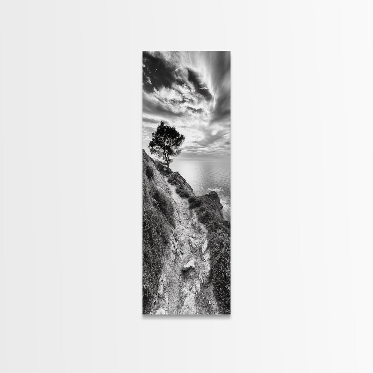 Cliffside Tree, Coastal Path, Nature Landscape, Canvas Print, Monochrome Hiking Trail Art, Boho Entryway or Office Wall Decor