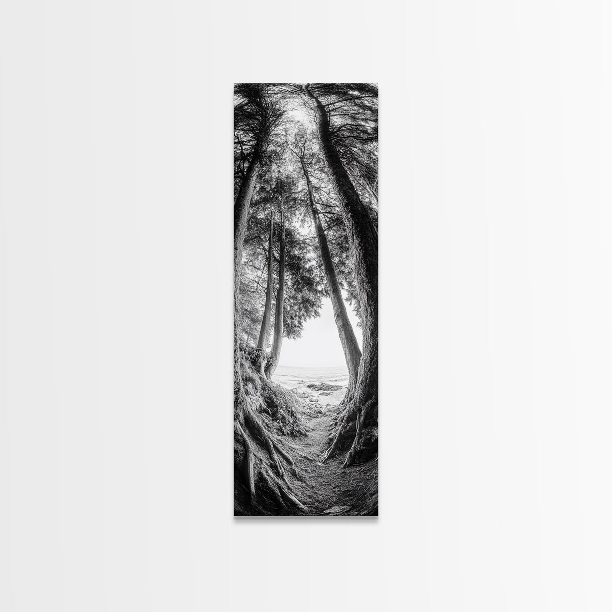 Forest Path, Ocean View, Tall Trees, Canvas Print, Black and White Nature Art, Entryway Wall Art, Rustic Woodland Aesthetic, Bedroom Wall Art